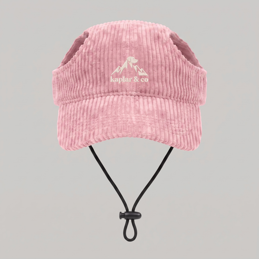 Casquette pour chien velours