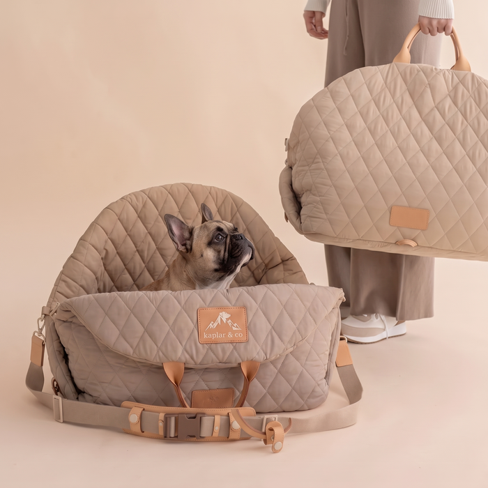 Quels accessoires selon la race de son chien ? Bouledogue, Chihuahua, Yorkshire...