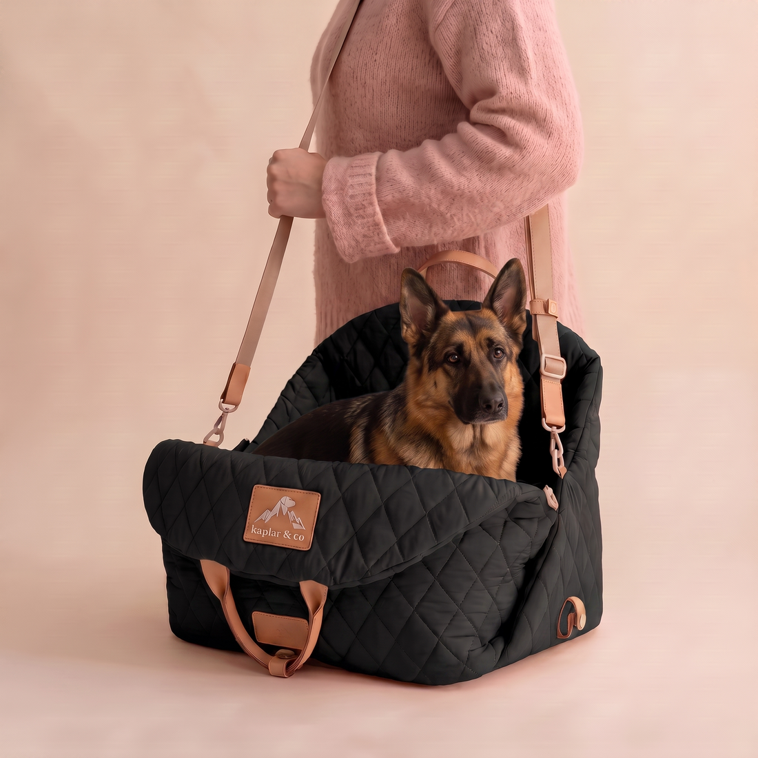 Chien en ville : les indispensables pour une vie urbaine sereine