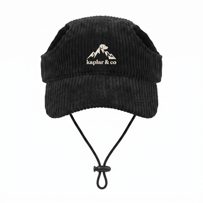 Casquette pour chien velours