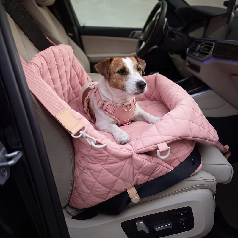 Un sac de transport pour chien pensé comme une pièce de maroquinerie