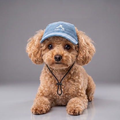 Chien caniche portant la casquette Kaplar & Co Bleu
