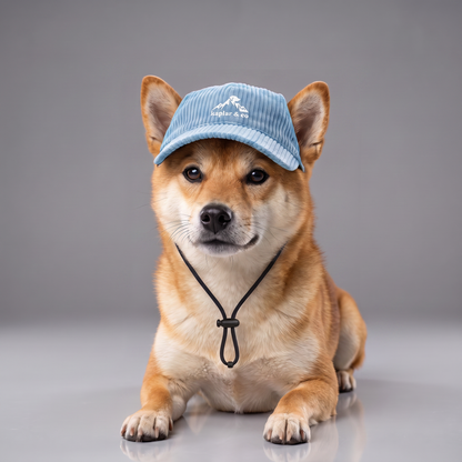 Chien shiba inu portant la casquette Kaplar & Co Bleu