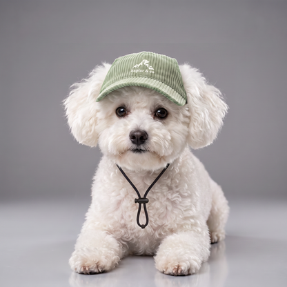 Chien bichon frise portant la casquette Kaplar & Co Vert